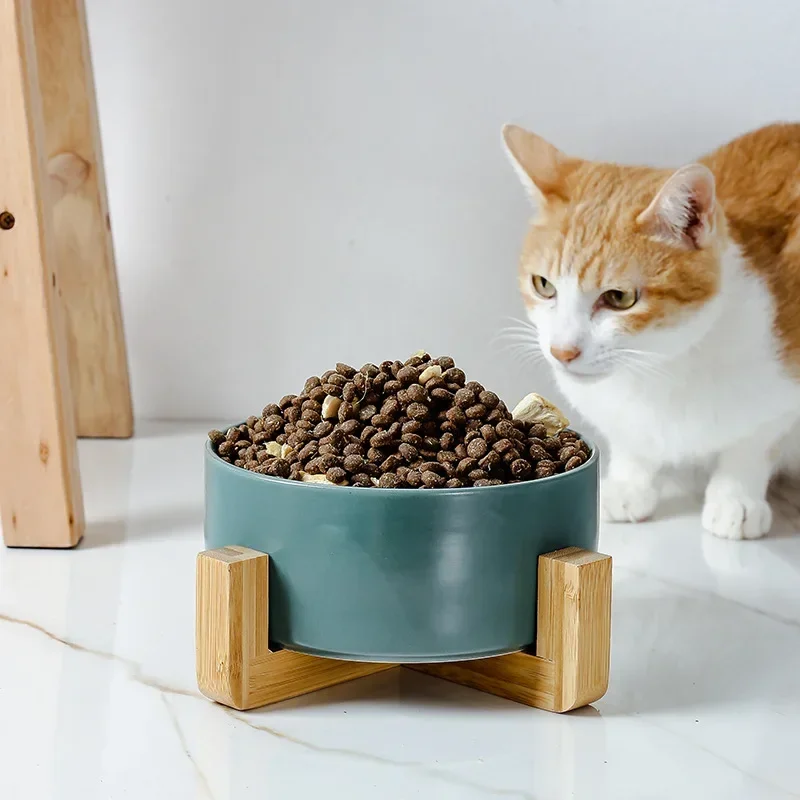 Mangkuk Keramik Ganda B3 untuk - Feeding ulasan dan harga