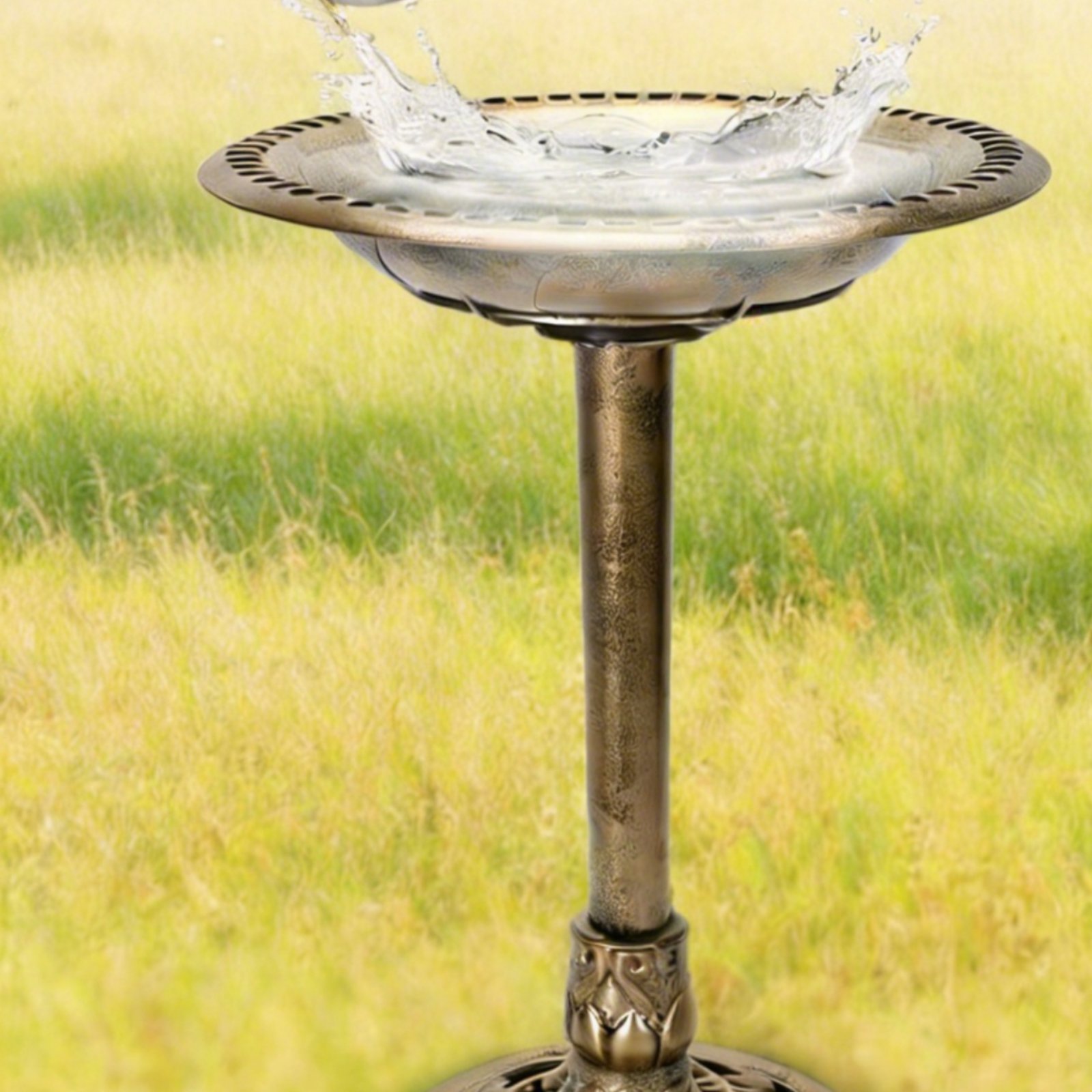 Tempat Mandi Burung dengan Tia - Feeding ulasan dan harga