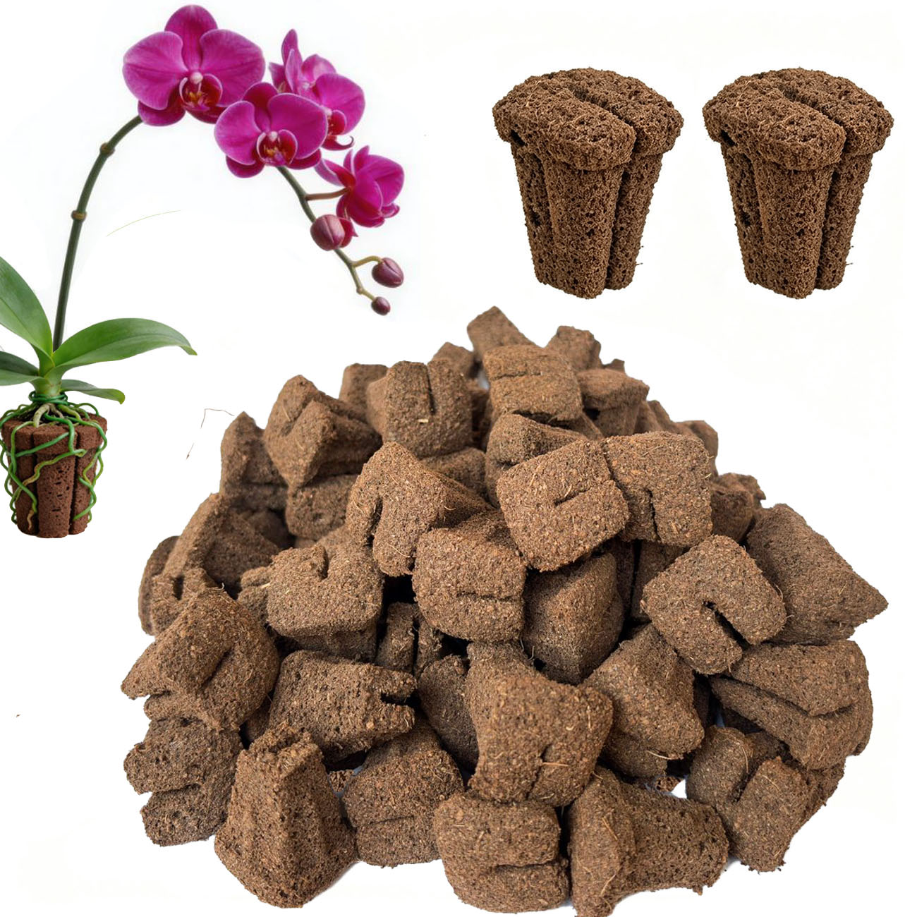 Spons Perkecambahan Cepat Hidr - Nursery ulasan dan harga